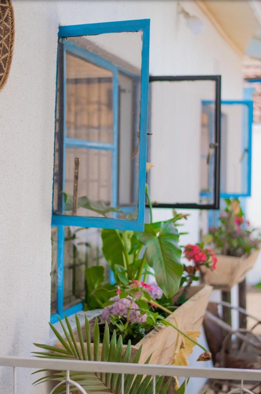 Mambo Arusha Hostel Exteriér fotografie